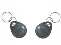 Brelok TAG RFID Unique 125kHz T5577 EM4305 programowalny szary 10 sztuk