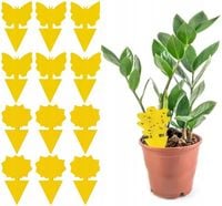 12x ŻÓŁTY LEP DO DONICZEK MOTYL na Ziemiórki Mszyce Muszki Owocówki