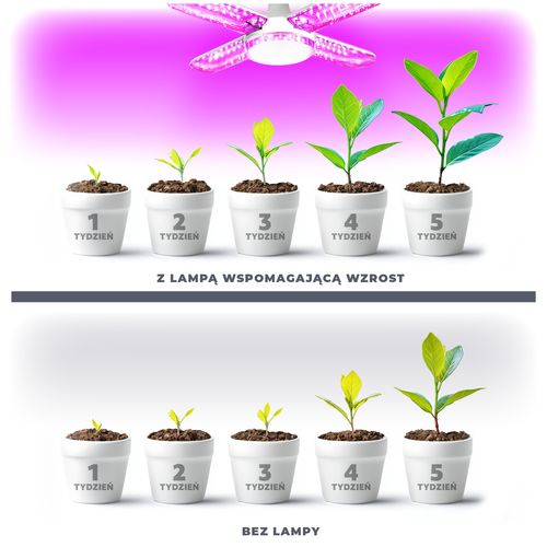 Żarówka Lampa Do Uprawy Wzrostu Roślin 40W E27 Oświetlenie LED Mocna na Arena.pl