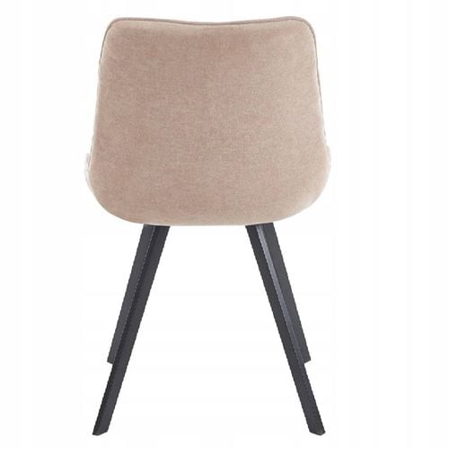 k46-fx cappuccino wind 11 na Arena.pl