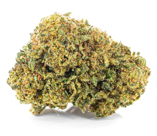 CBD SUSZ KONOPNY | SILVER HAZE PREMIUM 20g na Arena.pl