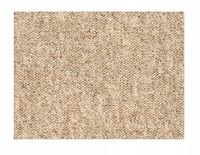 Wykładzina Dywanowa Pętelka Prima 4M 700