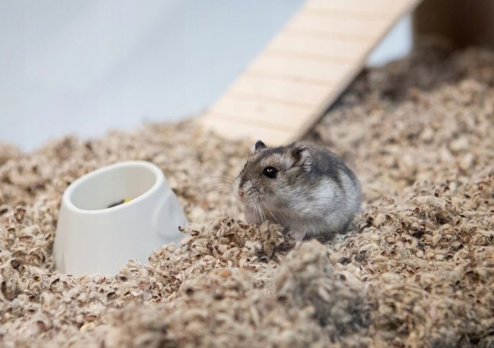 COMFY COTTON BEDDING PODŁOŻE BAWEŁNIANE 10L zdjęcie 12