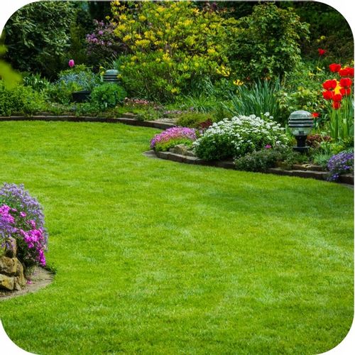 FLOROVIT Szybki Efekt 25kg NAWÓZ DO TRAWY TRAWNIKA NA TRAWNIK na Arena.pl