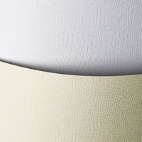 KARTON OZDOBNY BORNEO KREMOWY 220G 20SZT GALERIA PAPIERU 200202