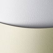 KARTON OZDOBNY BORNEO KREMOWY 220G 20SZT GALERIA PAPIERU 200202