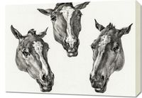 Obraz 70x50cm Trzy Głowy Koni, Jean Bernard Vintage do Salonu