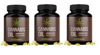 3x Cannabis Oil suplement diety 20 kapsułek