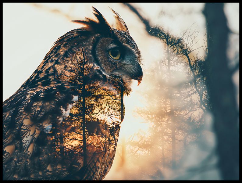 Plakat 100x75cm Sowi Duch zdjęcie 2