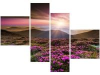 product-compare-58676572