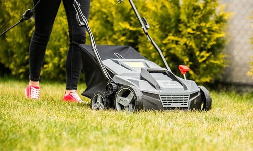 AERATOR WERTYKULATOR ELEKTRYCZNY LEHMANN DO TRAWY REGULACJA Z KOSZEM 2600W na Arena.pl