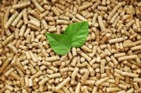 ŻWIREK PELLET PODŁOŻE GRYZONIE CHOMIK KOT 50L 20KG