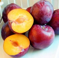 ŚLIWA RENGLODA ALTANA OLBRZYMIE OWOCE