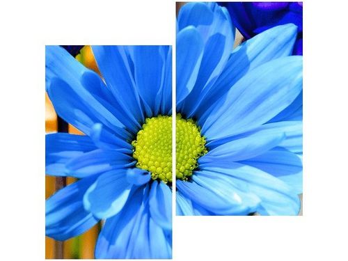 60X60CM INTENSYWNE KOLORY JAMIE MCCAFFREY DWU OBRAZ ŚCIAN na Arena.pl