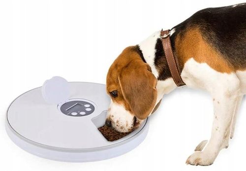 PODAJNIK DOZOWNIK KARMY AUTOMATYCZNY CZASOWY DLA PSA KOTA MISKA na Arena.pl