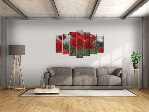 Obraz Maki - Duncan 140x80 GRATISY na Arena.pl