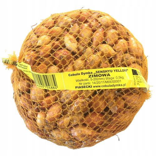 Zimowy zestaw do sadzenia cebula dymka - 2x500g na Arena.pl