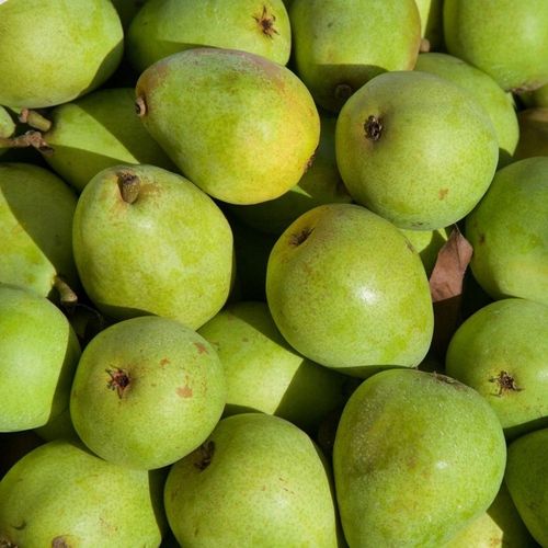 Wiejska Zagroda Karma sucha dla psa KACZKA GRUSZKA WARZYWA Duże rasy L 9kg na Arena.pl