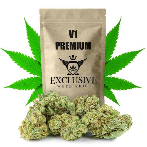 Susz konopny V1 CBD PREMIUM Exclusive Weed 50g na Arena.pl