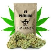 Susz konopny V1 CBD PREMIUM Exclusive Weed 50g