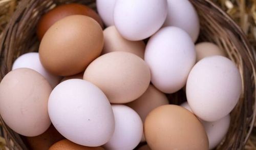 Karma dla kur Provimi Kokoszka Smakoszka, pasza kruszonka dużo jajek na Arena.pl