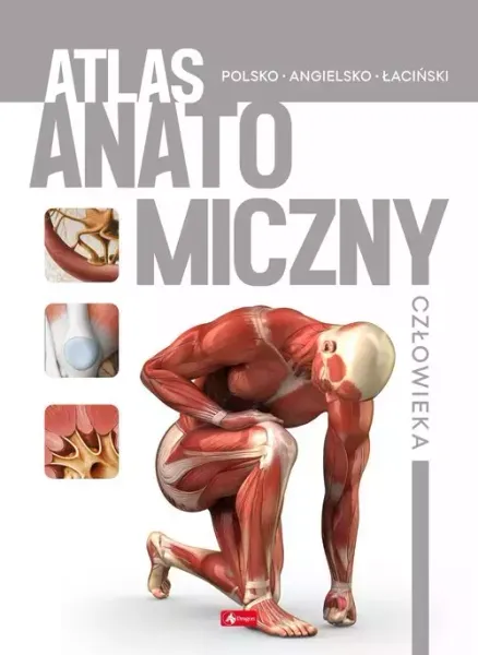 Atlas anatomiczny człowieka zdjęcie 1