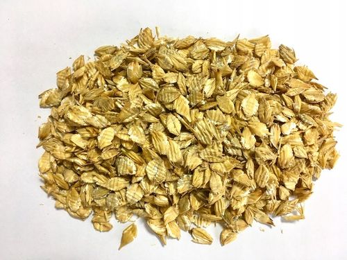 Jęczmień płatkowany mikronizowany dla koni 20 kg na Arena.pl