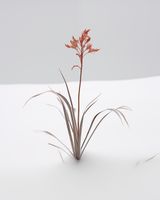 product-compare-59356736