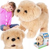 SZCZENIACZEK PIESEK PLUSZOWY INTERAKTYWNY CHODZI SZCZEKA MASKOTKA GOLDEN