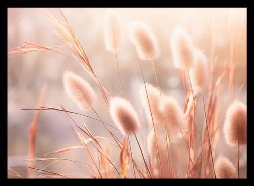 Plakat 35x25cm Kwiaty Słońca na Arena.pl