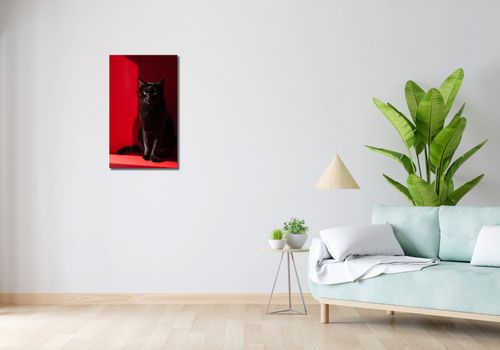 Obraz 40x70cm Elegancja w Cieniu na Arena.pl