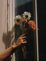 product-compare-59366785