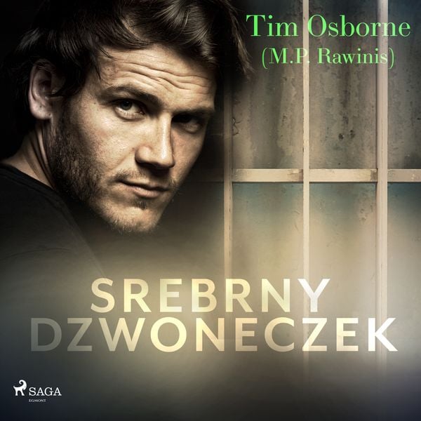 (mp3) Srebrny dzwoneczek zdjęcie 1
