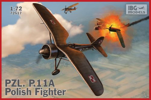 Model Plastikowy Pzl P.11A na Arena.pl