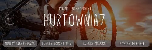 ROWER GÓRSKI MTB 29 SHIMANO RAMA 19, 21 CALI HAMULCE TARCZOWE 21 BIEGÓW na Arena.pl
