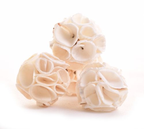 Kula shola Grape 4cm na Arena.pl