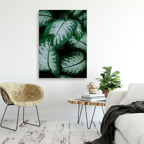 Deco Panel, Liście egzotyka 30x40 na Arena.pl