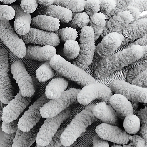 Szczotka Do Czyszczenia Felg Mycia Detailingowa Mikrofibra 34cm Elastyczna na Arena.pl