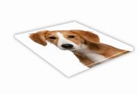 SZKLANA DESKA KUCHENNA 30x30 467f Kokoni