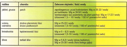 MIEDZIAN 100G+SYLLIT 45G ZWALCZA CHOROBY GRZYBOWE na Arena.pl