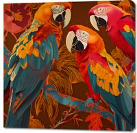 Obraz 100x100cm Kolorowe Ary