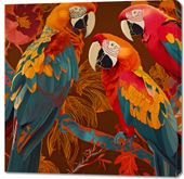 Obraz 100x100cm Kolorowe Ary