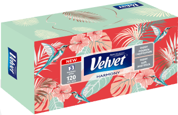 VELVET  120 szt. na Arena.pl