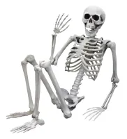 Realistyczny Duży Szkielet 170 cm - Mroczna Dekoracja na Halloween