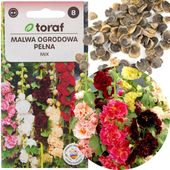 MALWA OGRODOWA PEŁNA MIX 1G NASIONA KWIATÓW MALWY MIESZANKA KOLORÓW