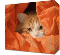 Obraz 30x30cm Ukryty Kot