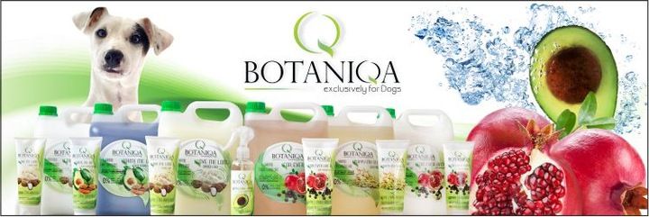BOTANIQA Show Line dogłębnie myjący KONCENTRAT 1L zdjęcie 3