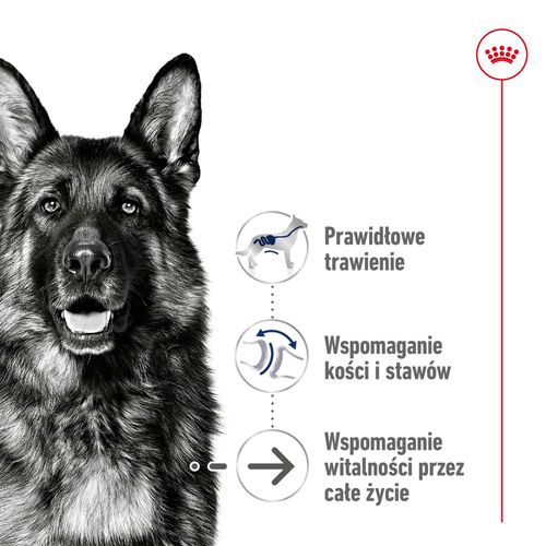 royal canin maxi ageing 8+ 15kg na Arena.pl