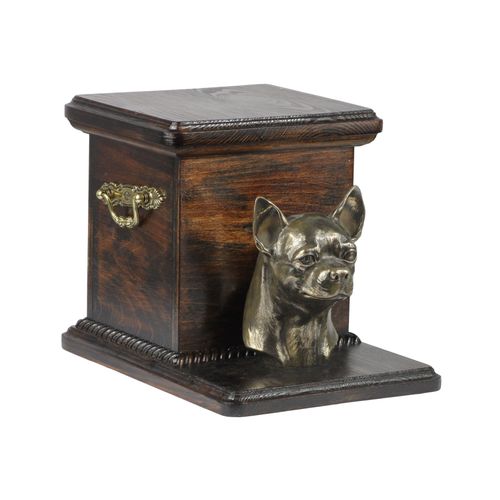 Chihuahua - urna - 4116 na Arena.pl