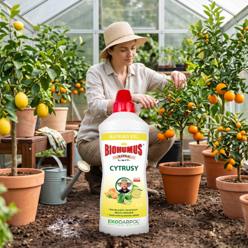 EKODARPOL BIOHUMUS EXTRA Cytrusy 1,25L na Arena.pl